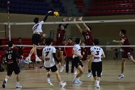 新手最容易忽略的规则细节（新手易忽视的规则要点）